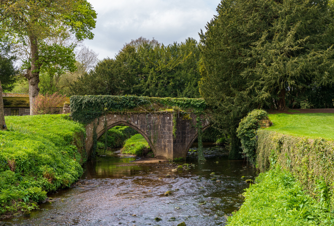 "Stone bridge at Fountains Abbey ruins in Yorkshire, England" stock image