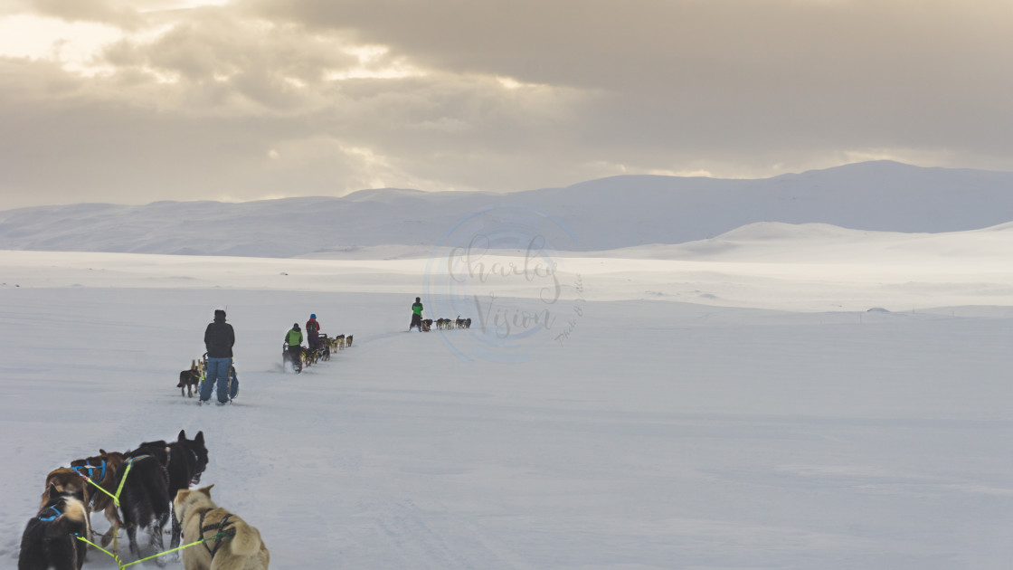 "Landscapes during my Arctic Expedition" by Charley Vision - $5.06 "Landscapes during my Arctic Expedition" stock image