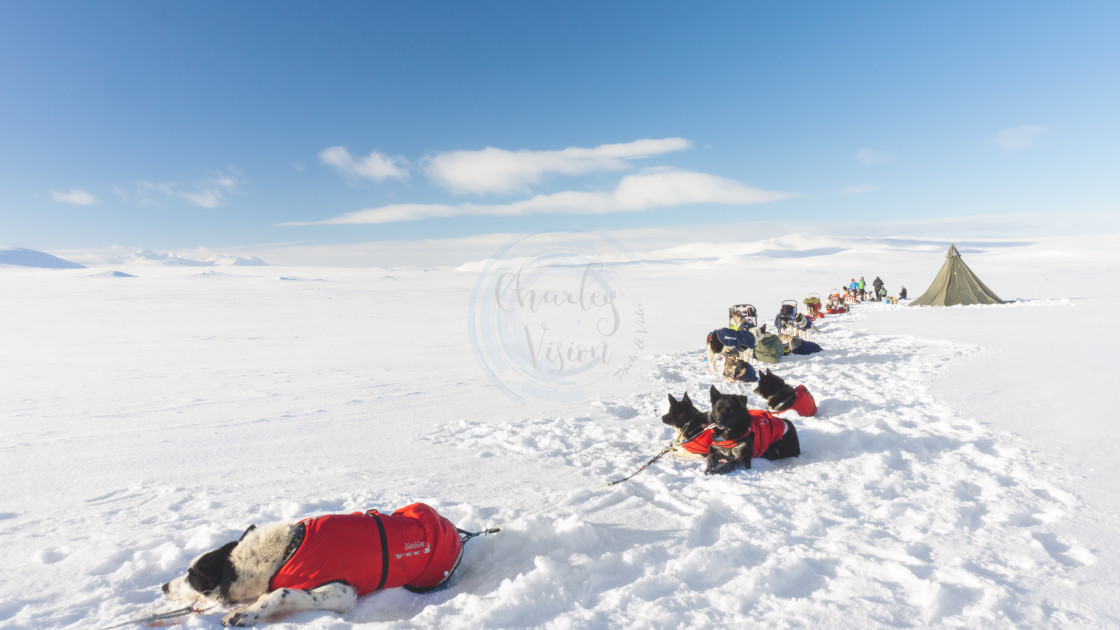 "Camp during my Arctic Expedition" by Charley Vision - $5.02 "Camp during my Arctic Expedition" stock image