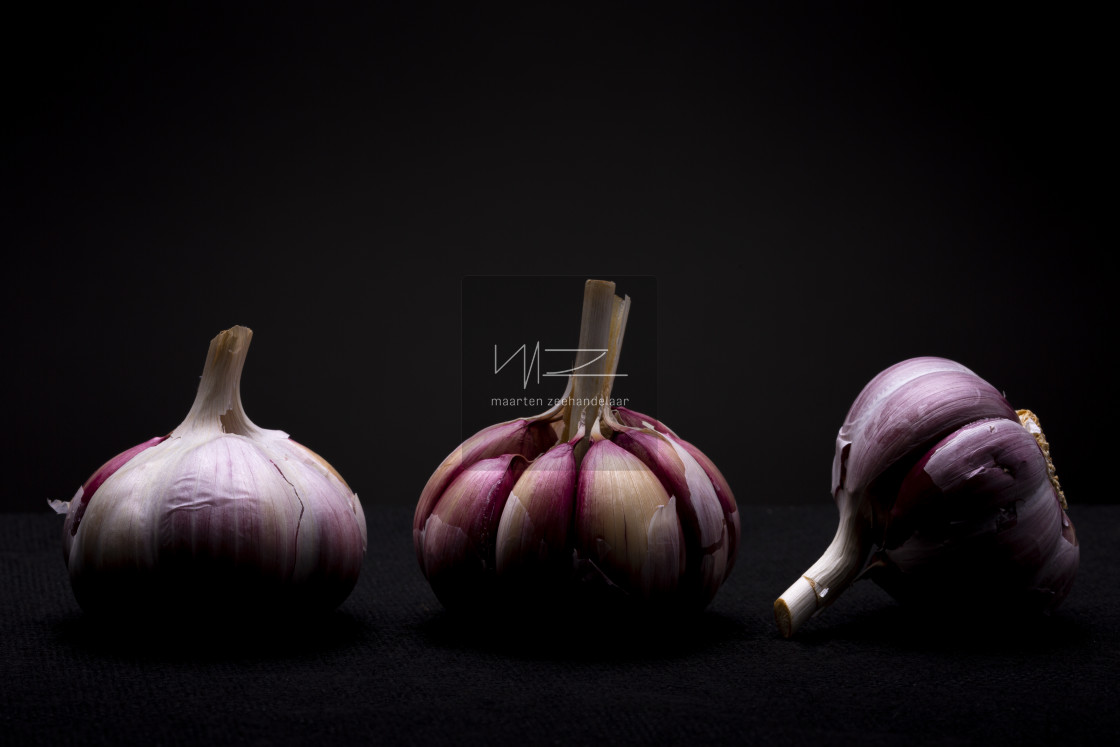 "Red garlic" by Maarten Zeehandelaar - $18.47 "Red garlic" stock image