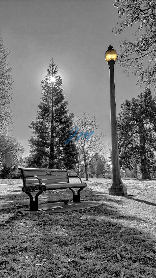 "Park Bench" stock image