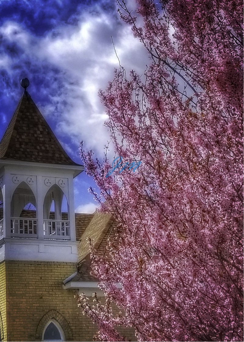 "Church Bloom" stock image