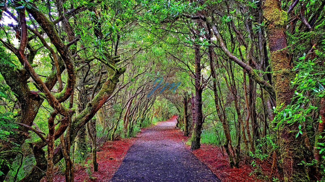 "Path to the Unknown" stock image