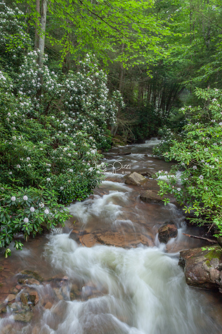 "Buck Mountain Creek" stock image