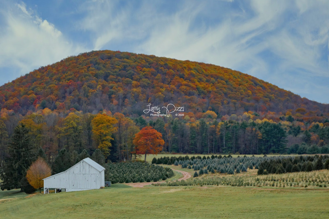 "Fall on Buck Mountain" stock image