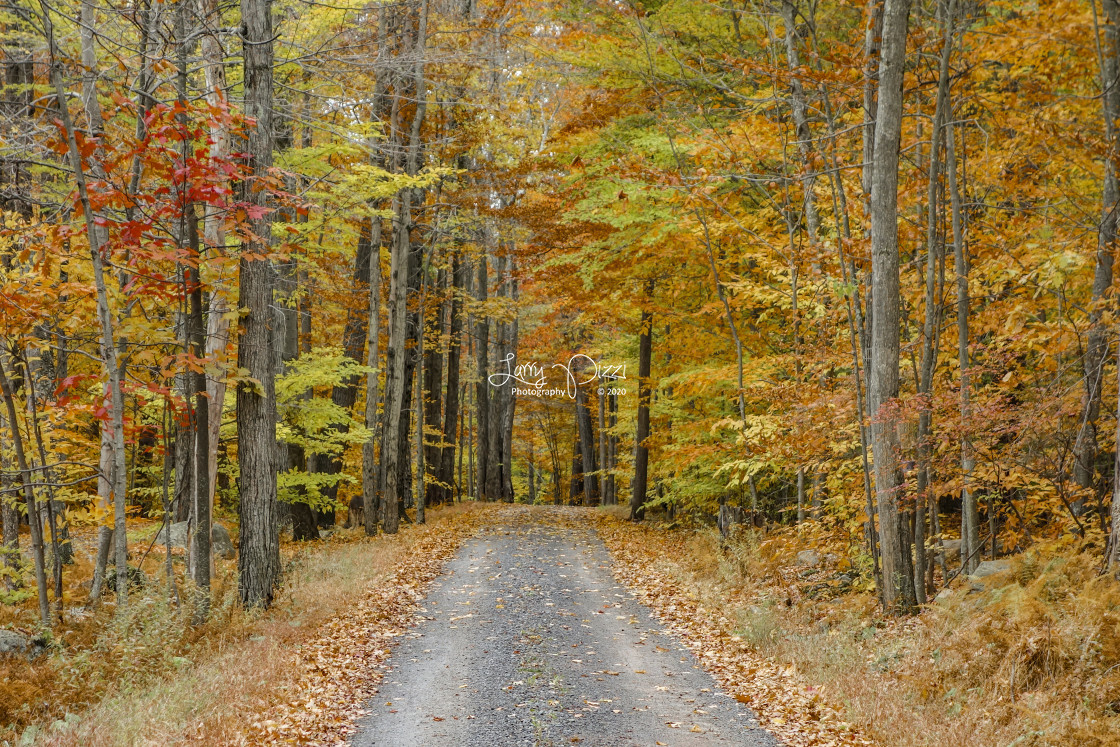 "Cobble Lane 1" stock image