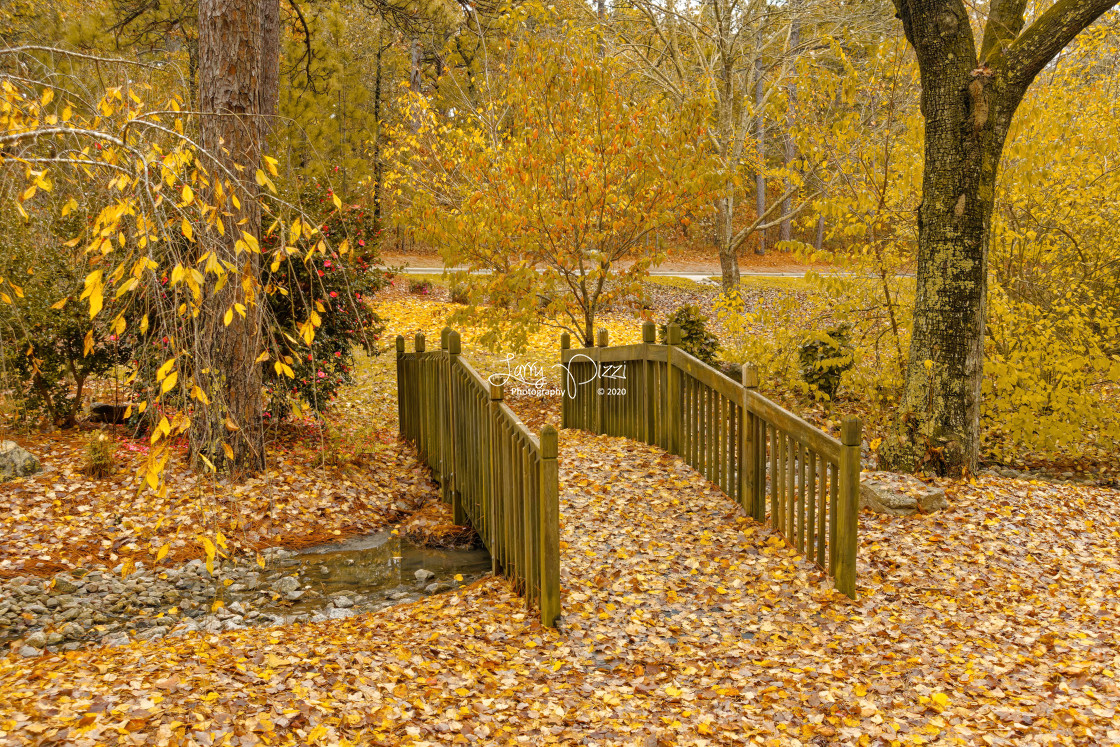 "Autumn Bridge" stock image