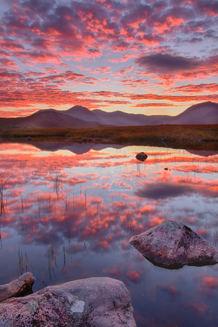 "Rannoch Moor sunset" stock image