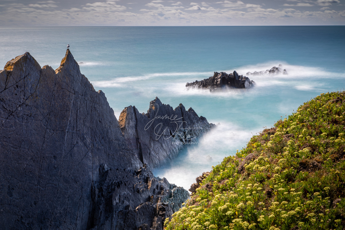 "Hartland Quay watcher" stock image