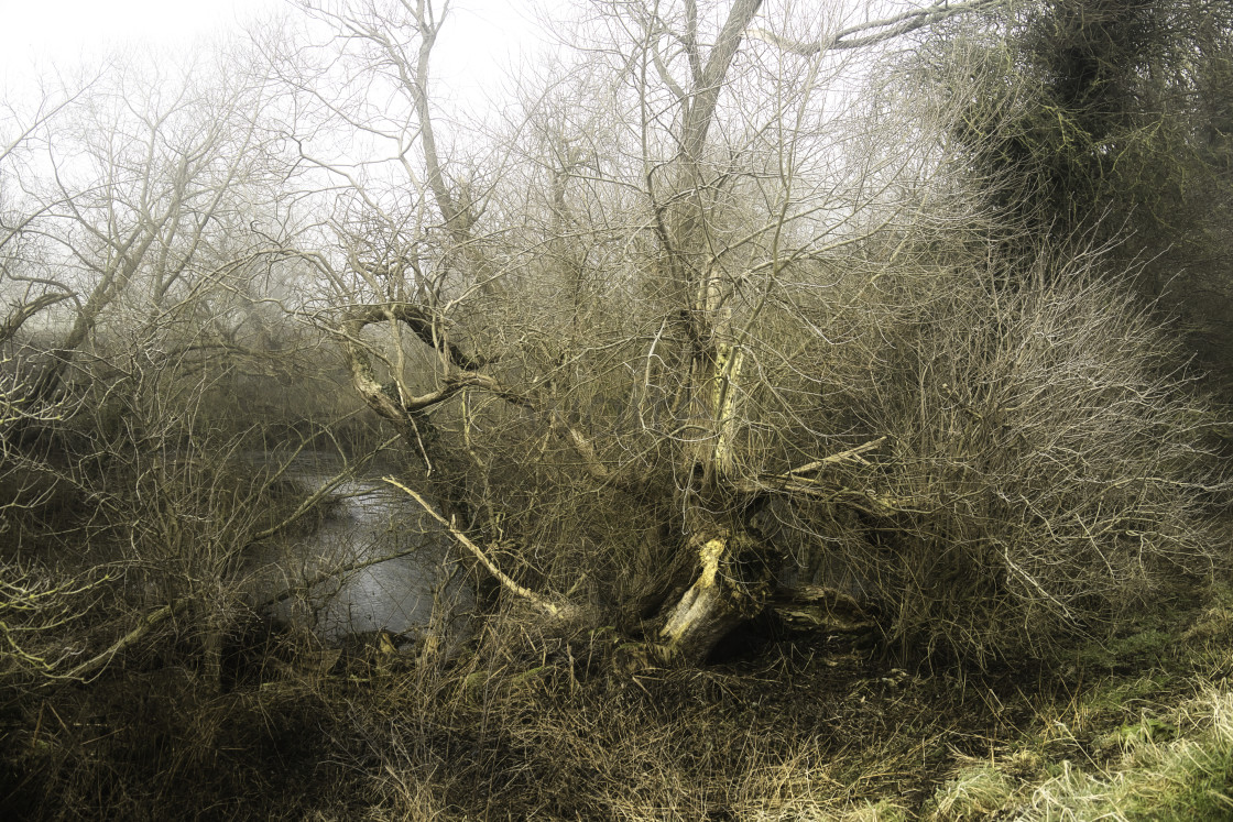 "Croft River Tees Bank." stock image