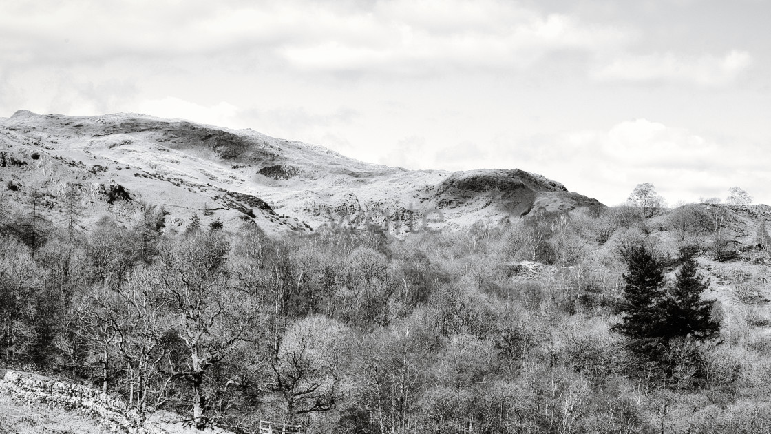 "Hillside in black and white." stock image