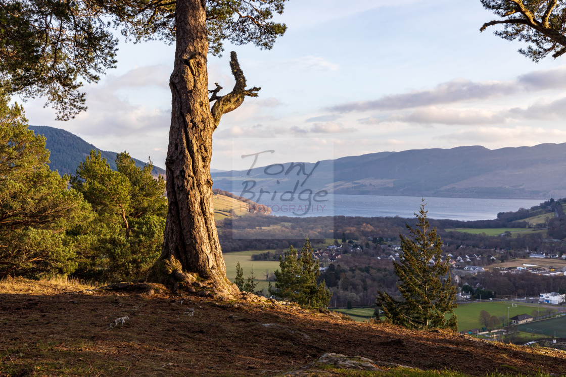 "Viewpoint at Craig Monie" stock image