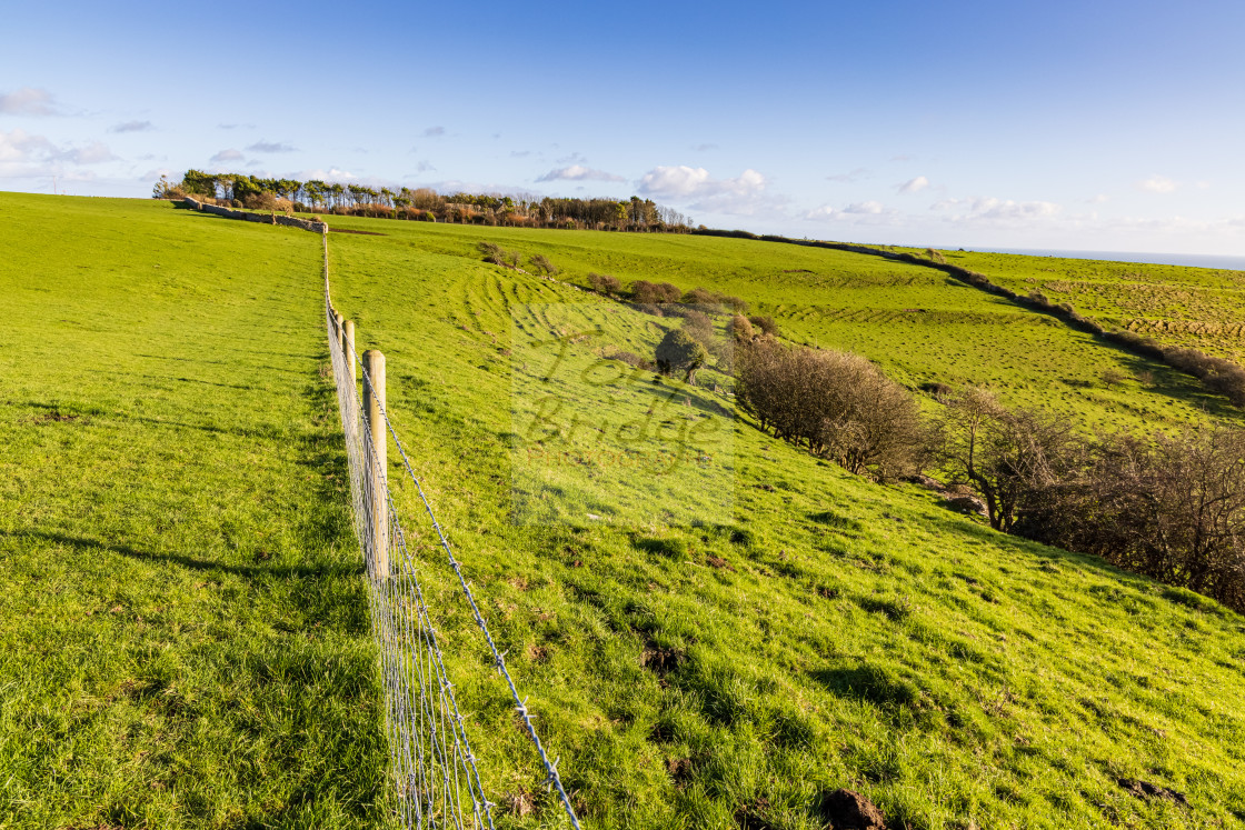 "Crossing the Purbeck countryside" stock image