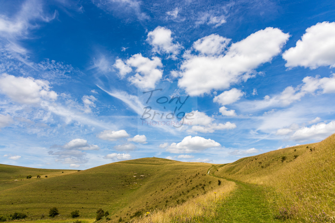 "Summer skies over the Pewsey Downs" stock image