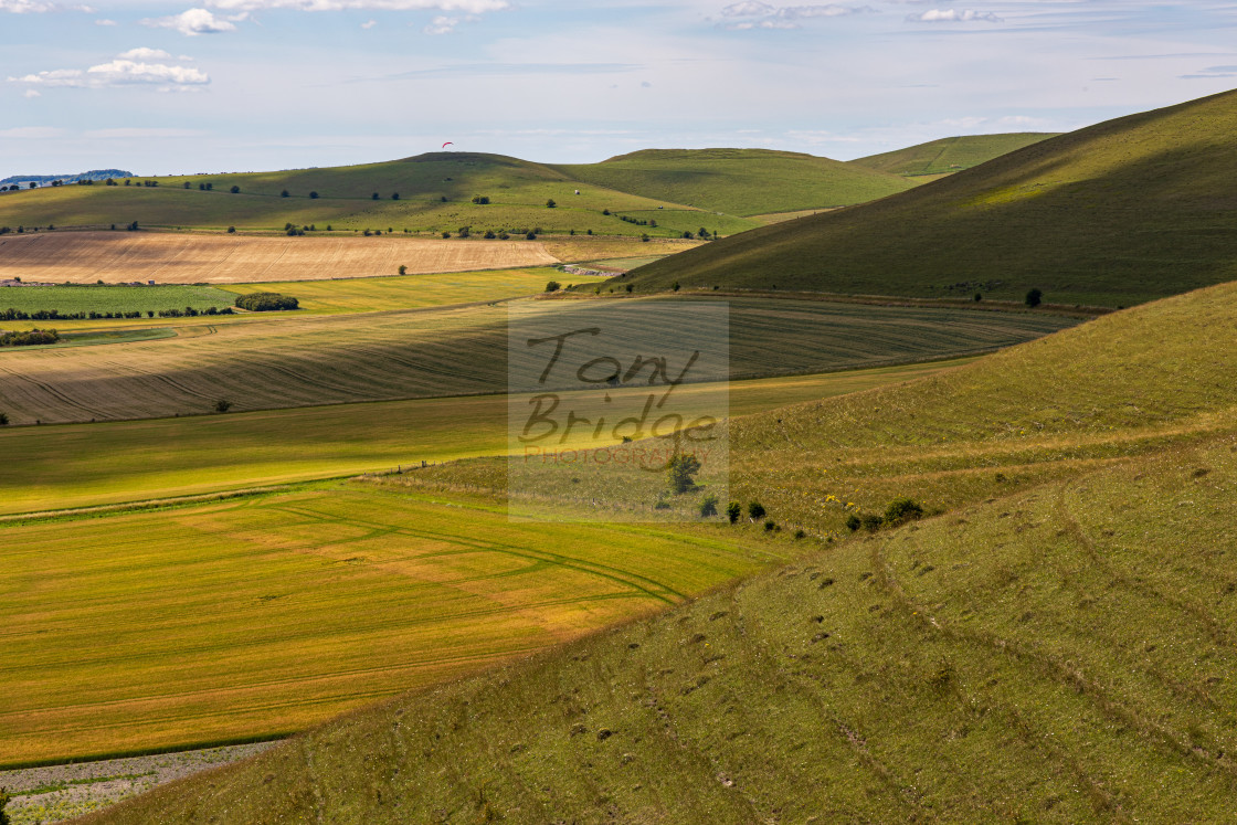 "Pewsey Downs" stock image