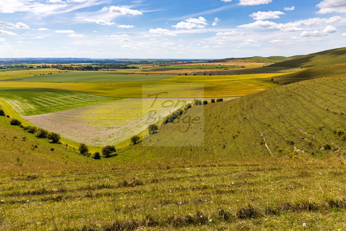 "Vale of Pewsey" stock image