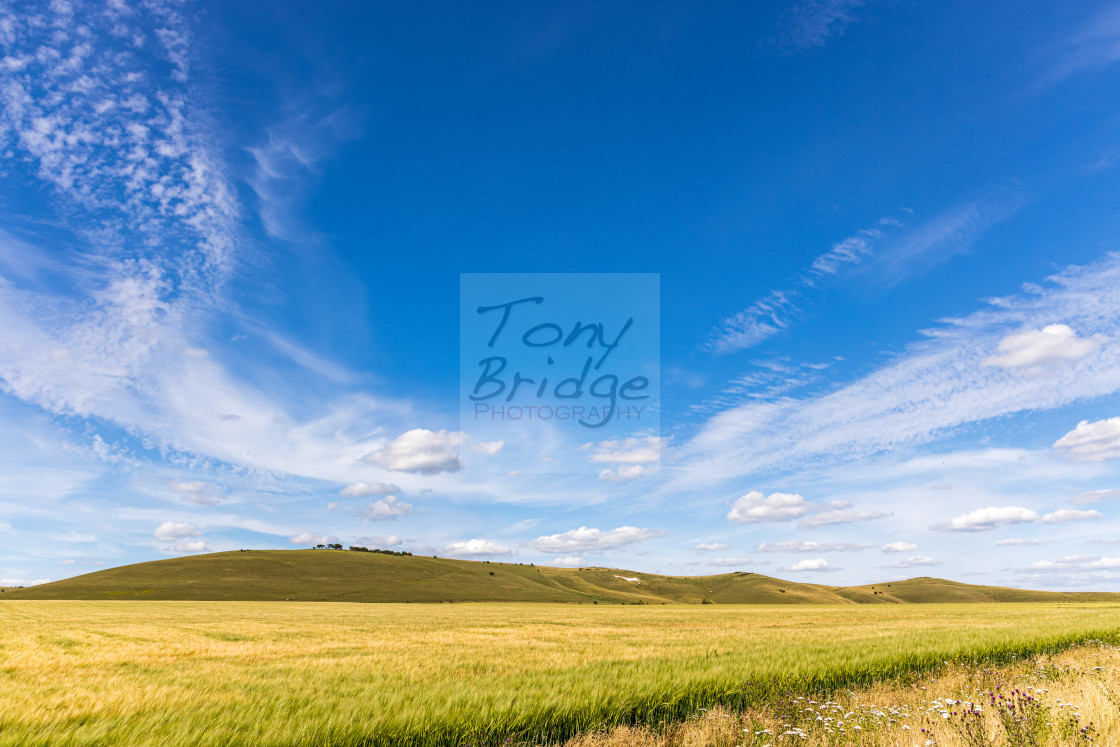 "Big sky above the Pewsey Downs" stock image