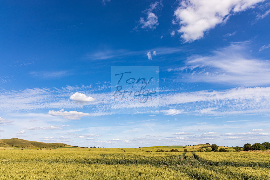 "Big sky above the Vale of Pewsey" stock image