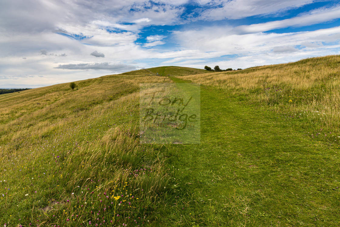 "Tan Hill Way, Pewsey Downs" stock image