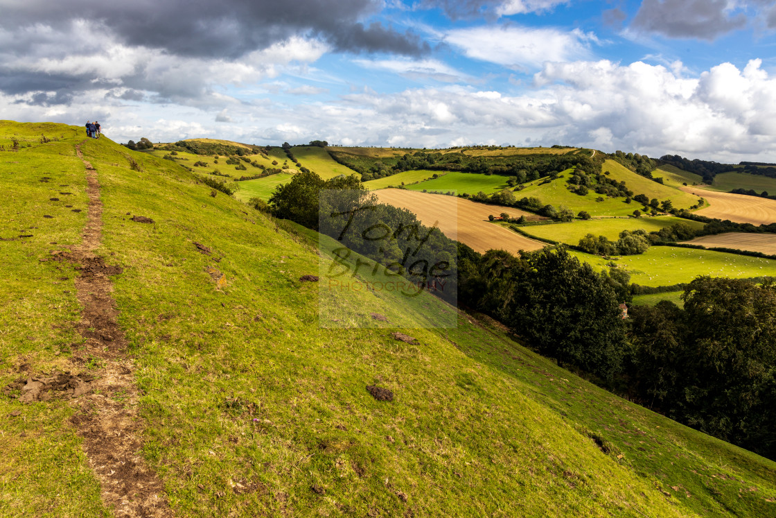 "Cadbury Castle" stock image