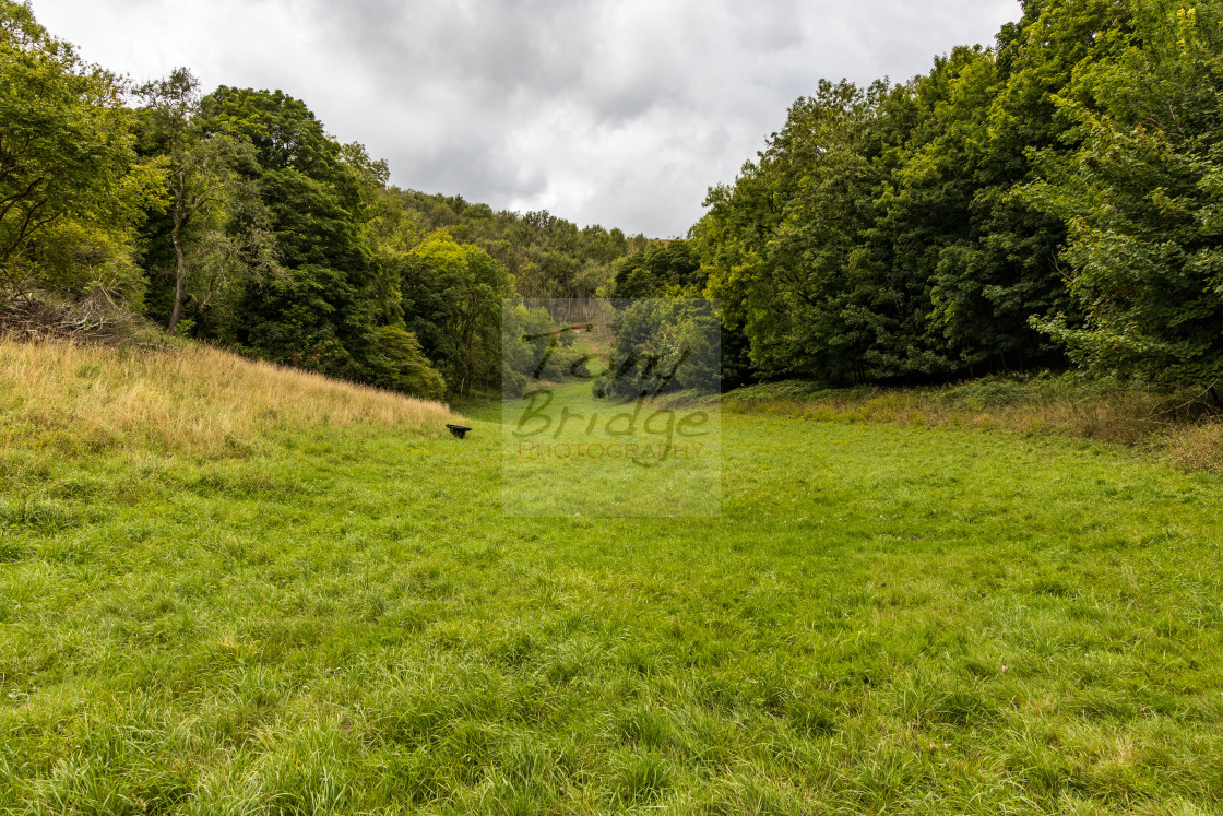 "Under Win Green" by Tony Bridge - $15.89 "Under Win Green" stock image