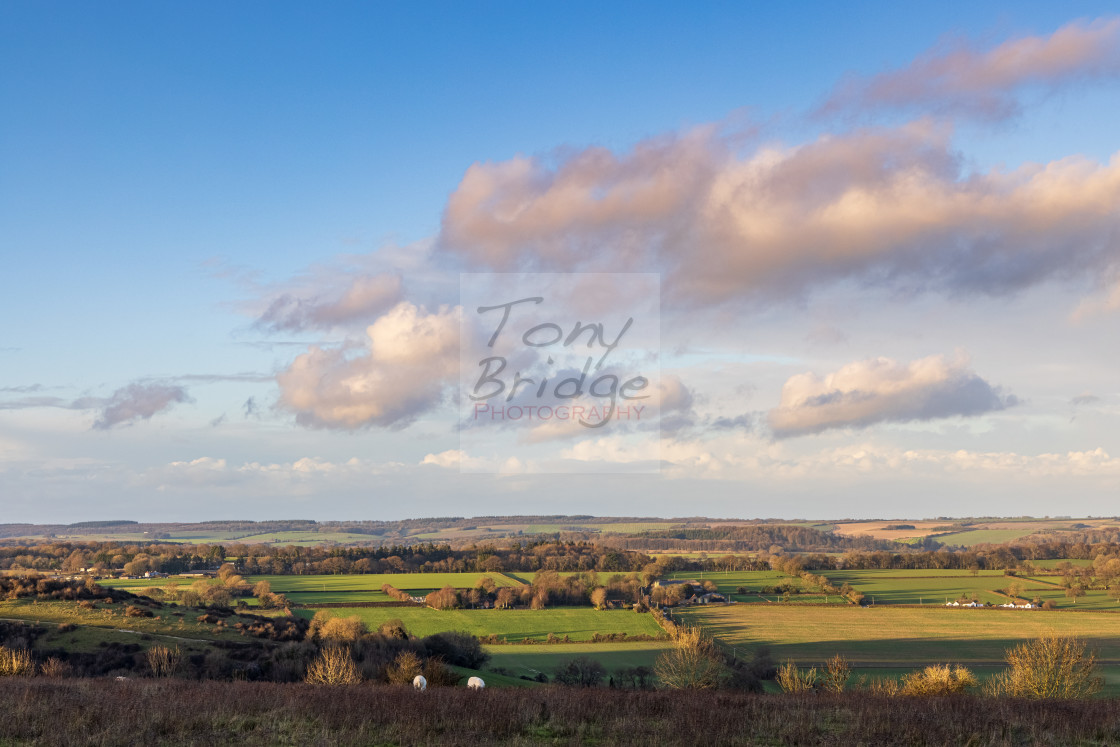 "A Wiltshire view" stock image