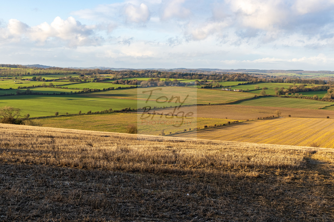 "Vale of Wardour" stock image