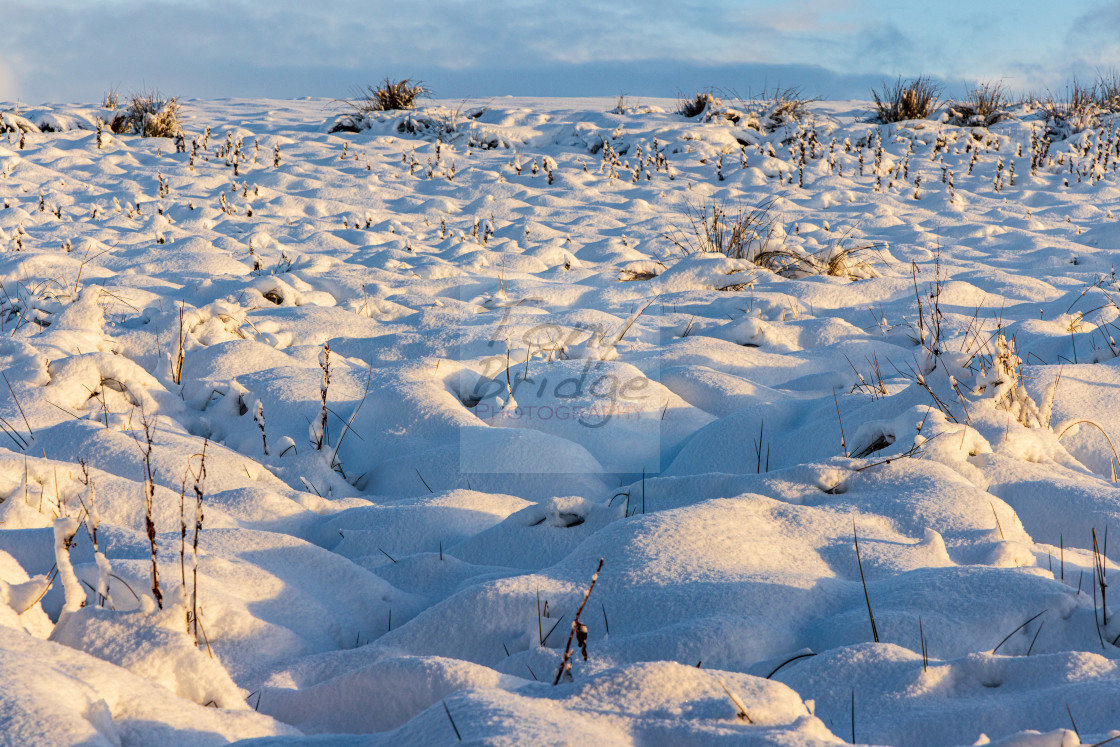 "Snow-covered moorland" stock image