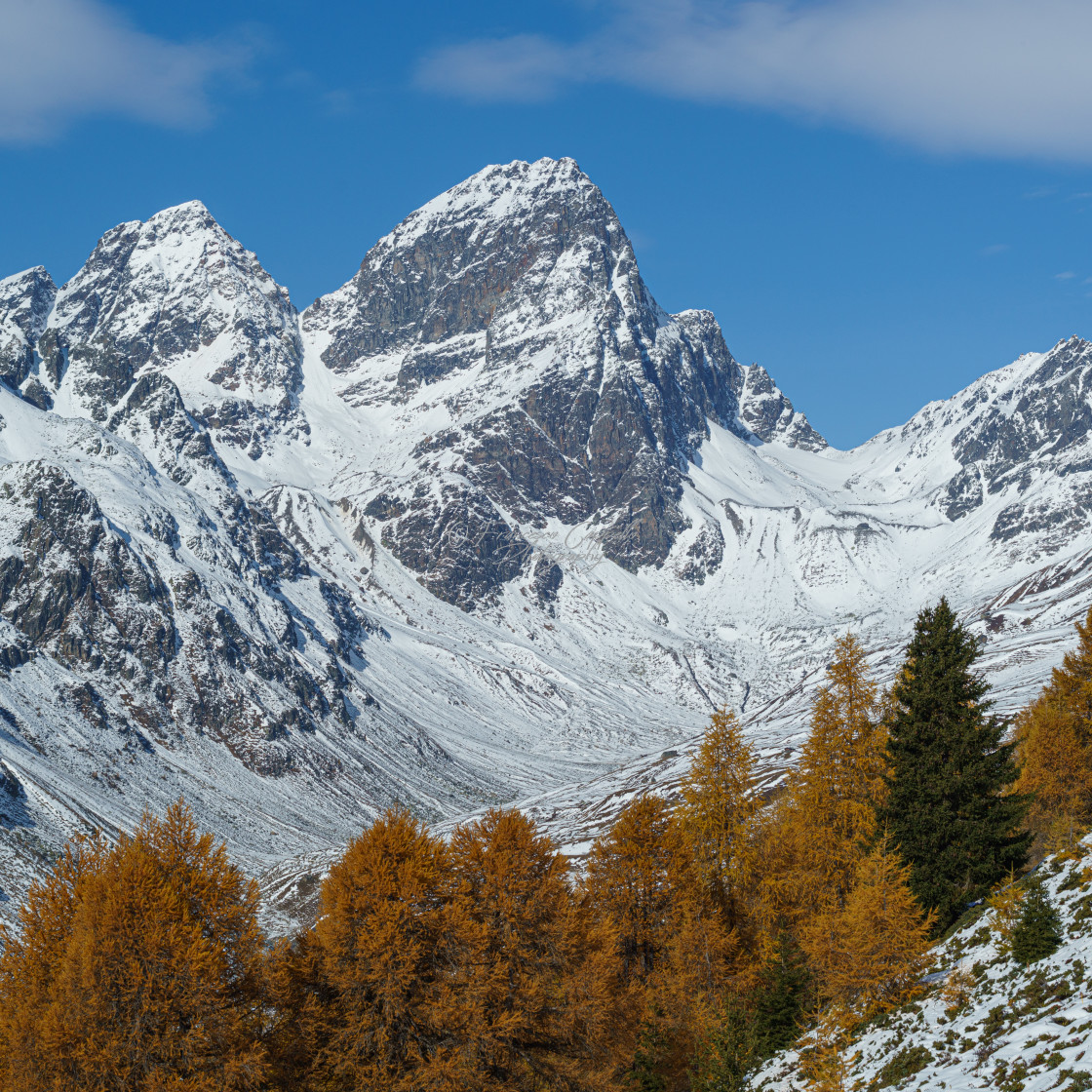 "Piz Buin" by Francesco Cappello Photography - $44.03 "Piz Buin" stock image