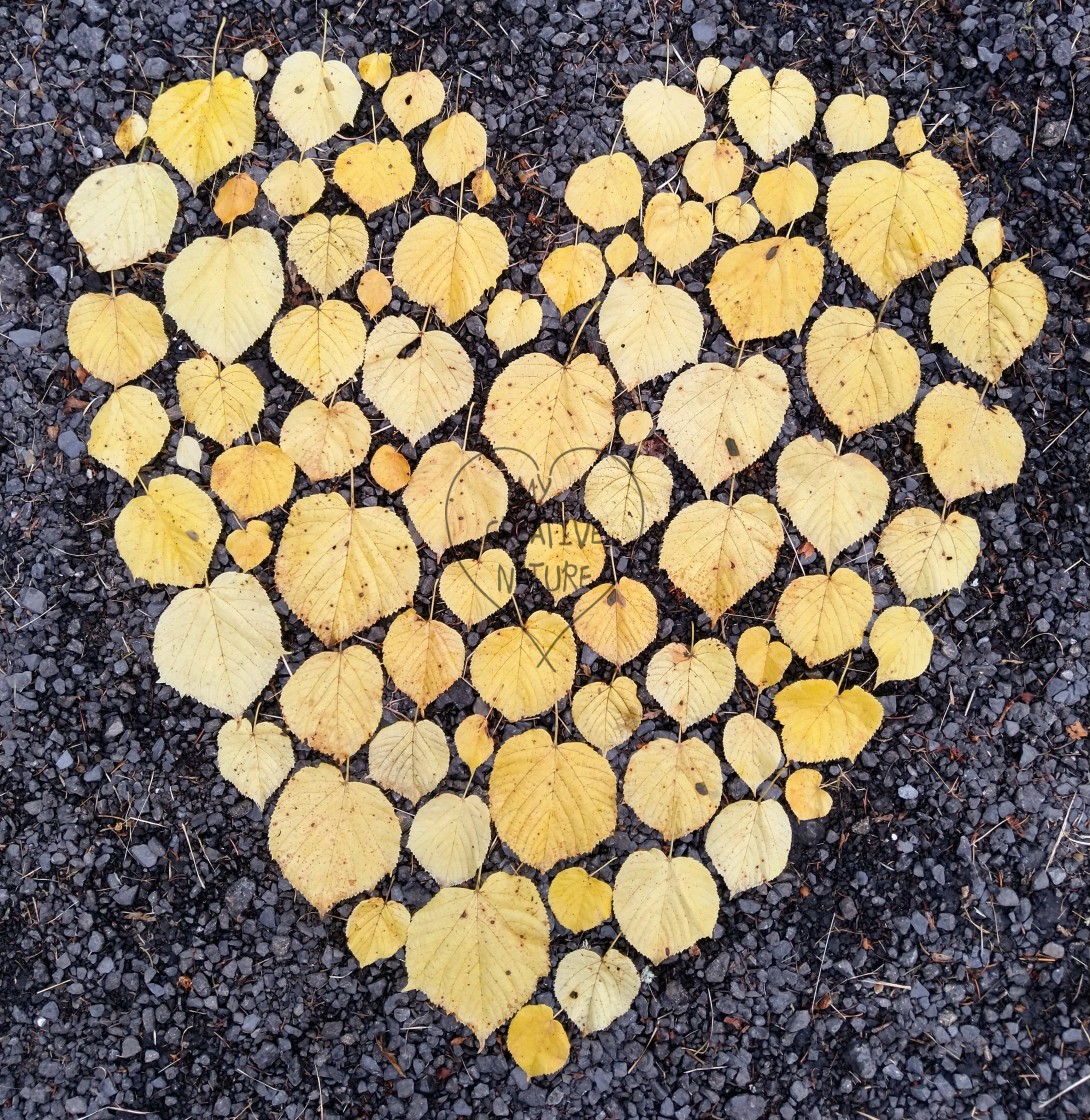"Heart of autumn leaves" by Lucia Pec - $12.25 "Heart of autumn leaves" stock image