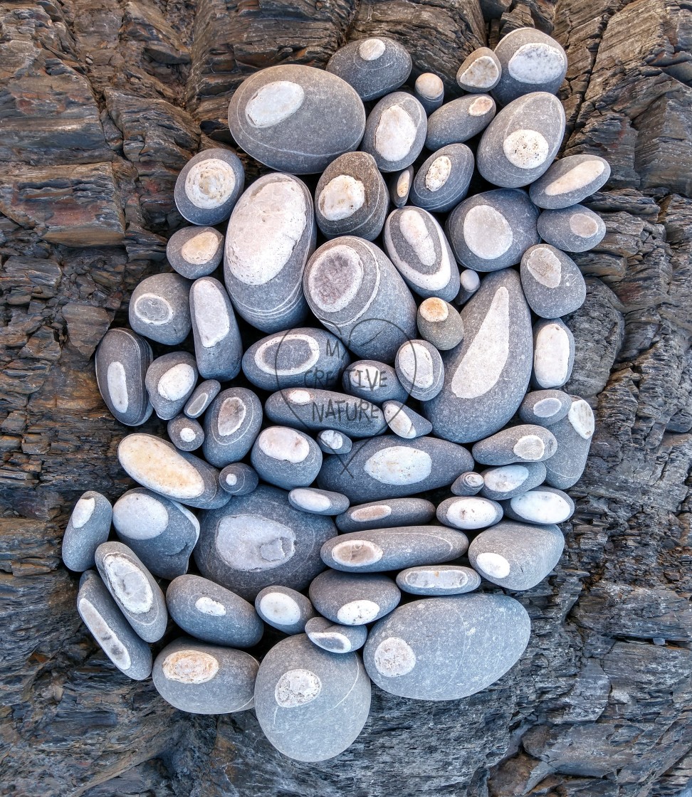 "Beach pebbles with white quartz circles on a rock" stock image