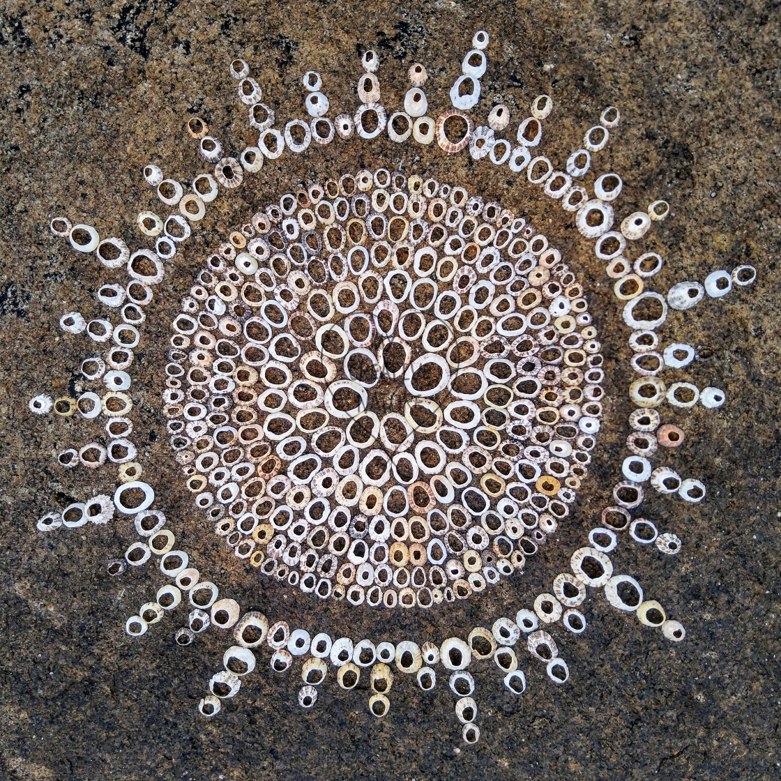 "Landart mandala made from shells" stock image