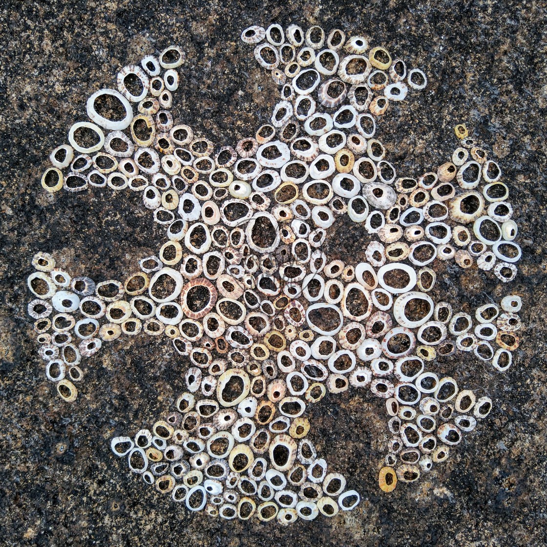 "Landart from shells on rocks" by Lucia Pec - £10.00 "Landart from shells on rocks" stock image