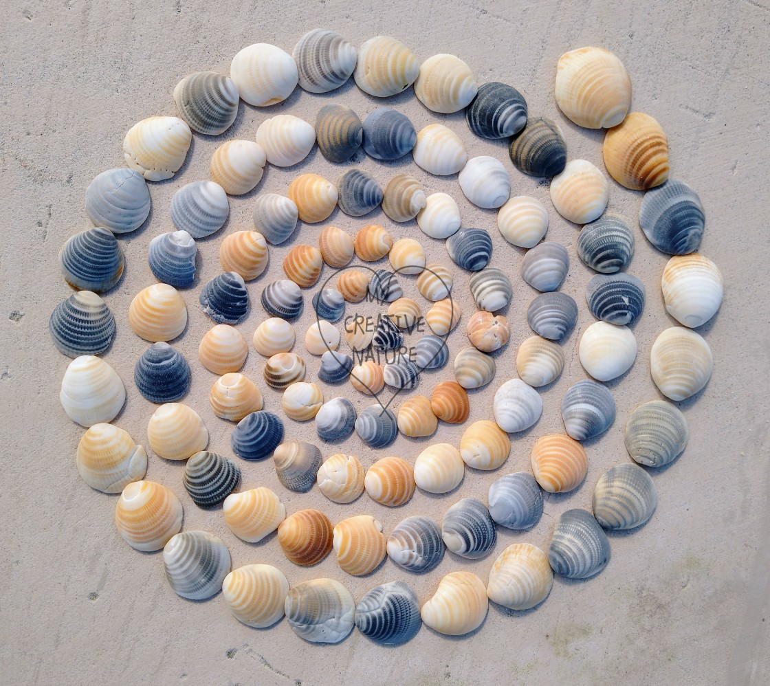 "Shell spiral on a beach in Portugal" stock image