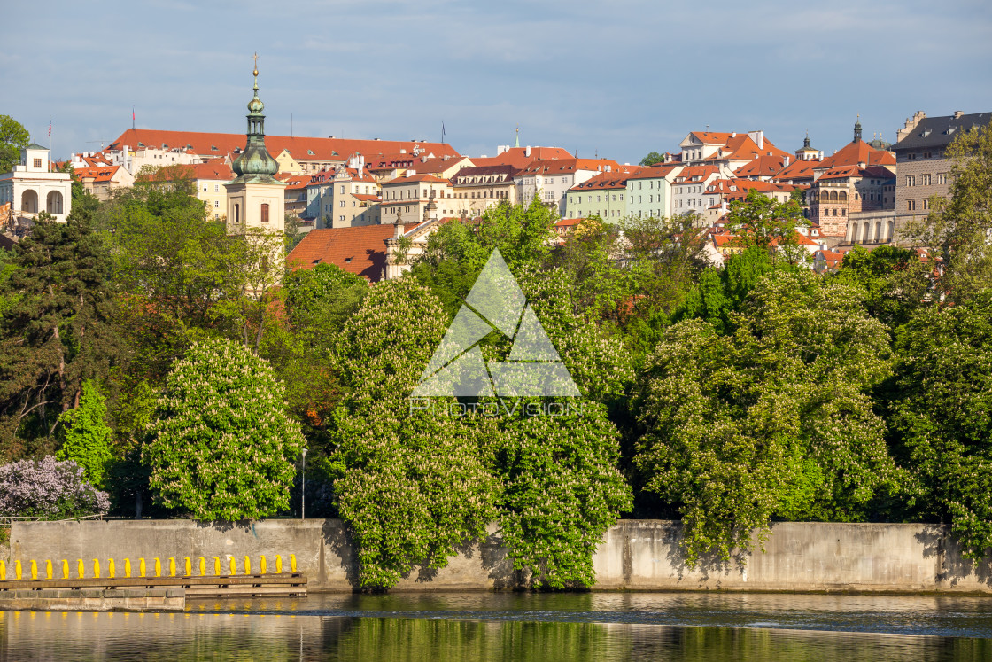 "Blooming trees over the river, in the background houses above Prague Castle" stock image