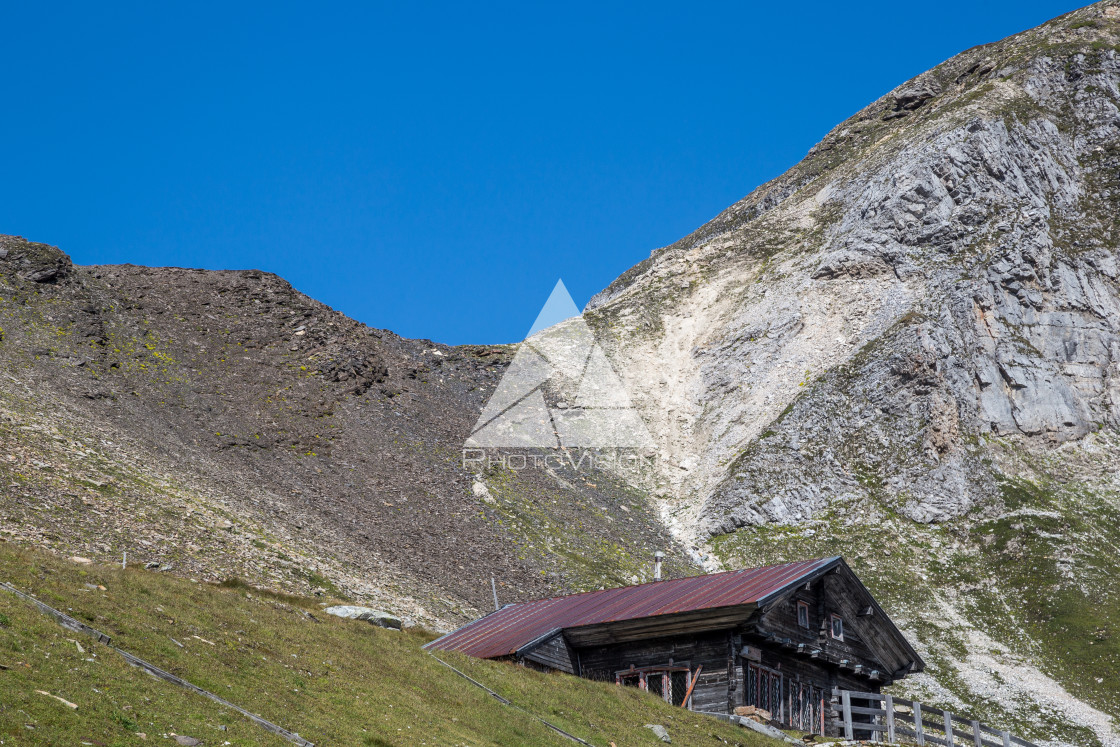 "Alpine blooming meadows and pastures" stock image