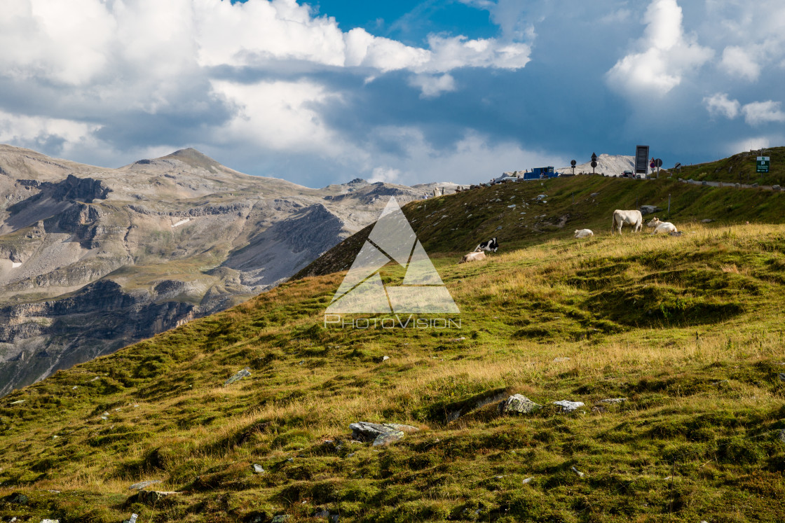 "Alpine valley on a beautiful summer day" stock image