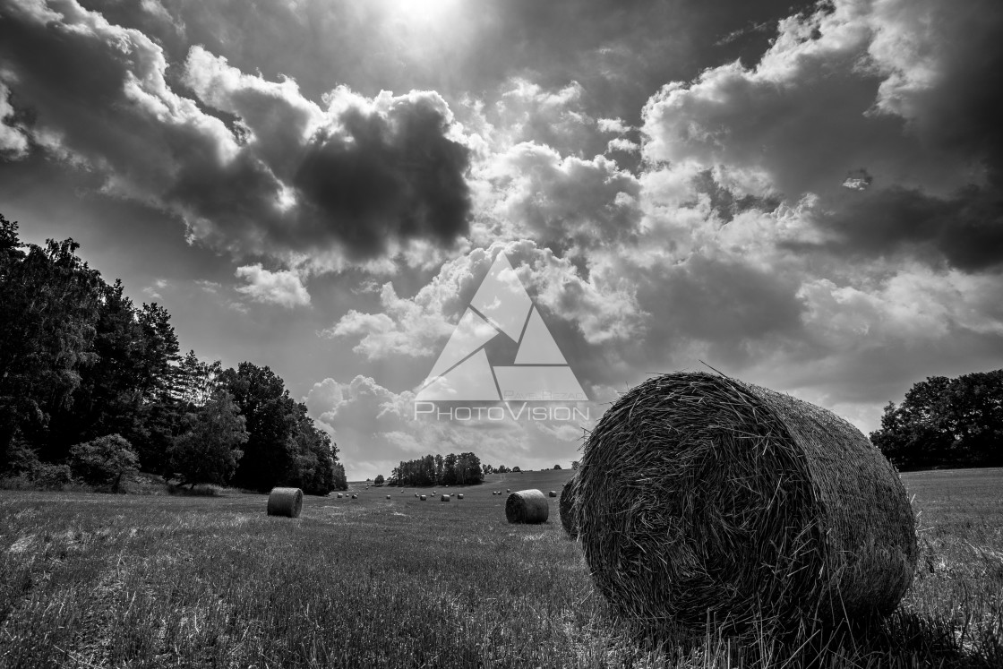 "Straw bales on the field, Black and White" stock image