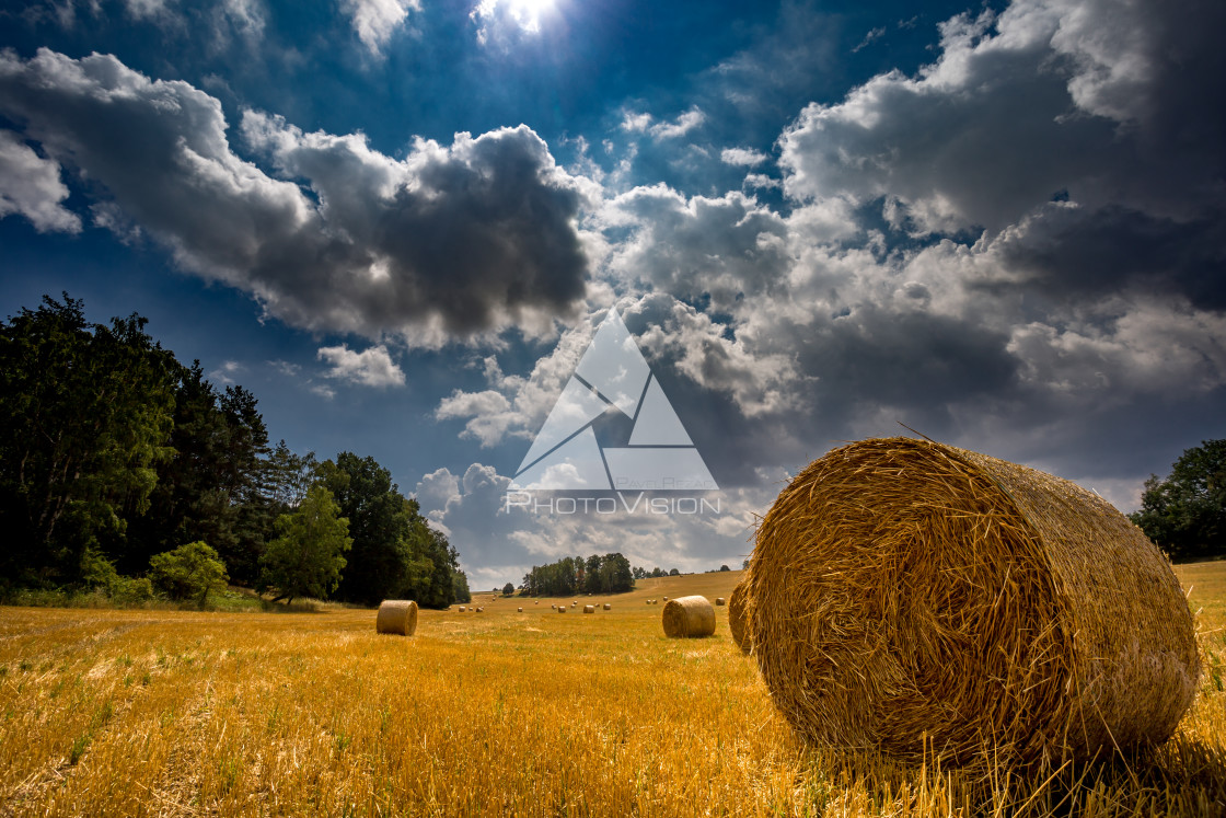 "Straw bales on the field" stock image