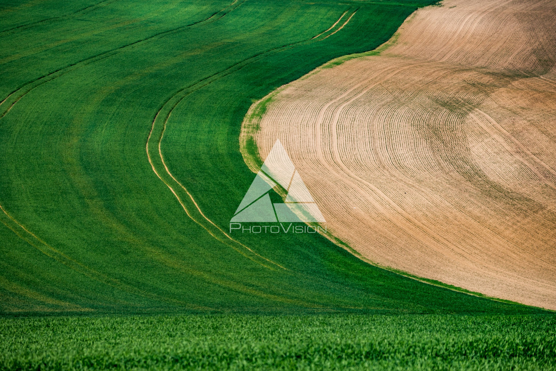 "Wavy landscape in Central Bohemia" stock image