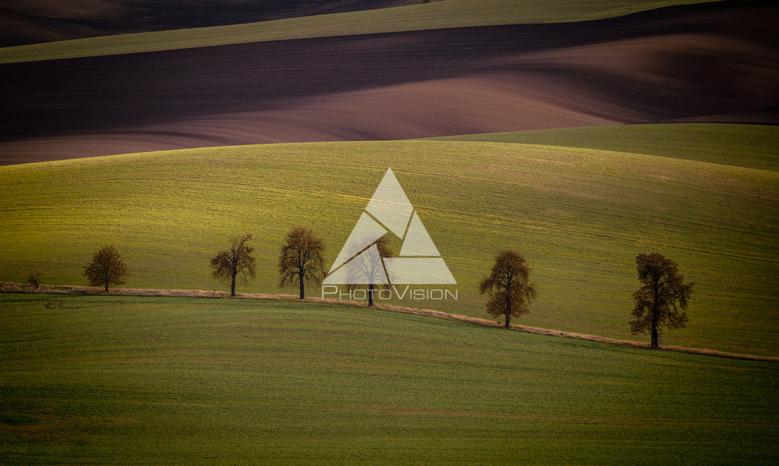 "The last autumn rays of the sun in the landscape" stock image