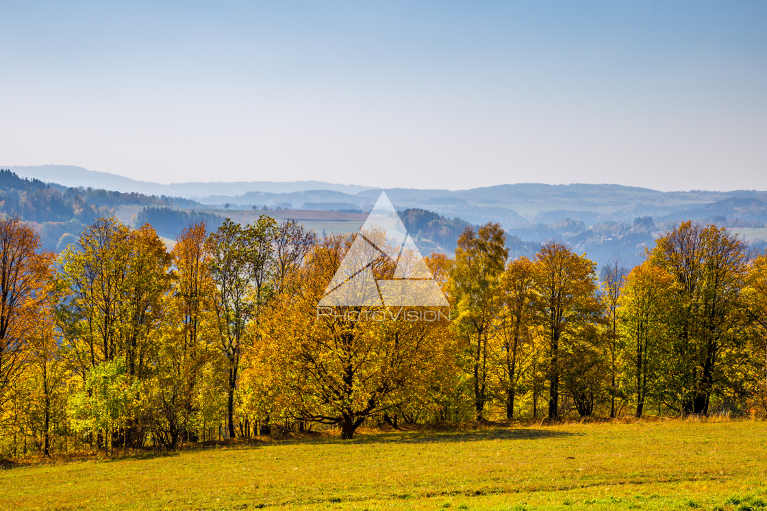 "Autumn landscape with colorful trees" stock image