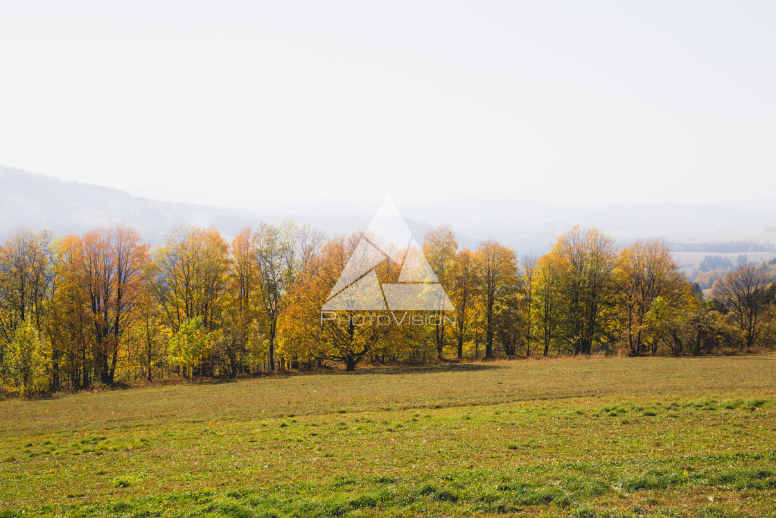 "Autumn landscape with colorful trees" stock image