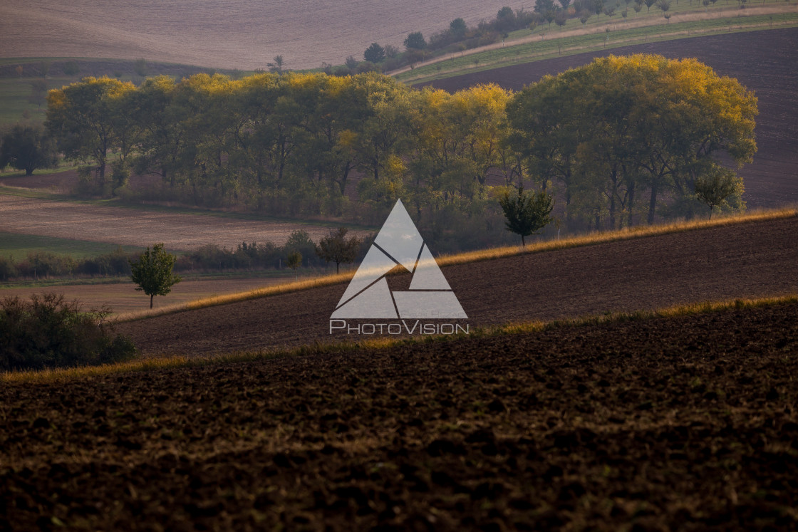 "Late afternoon with the last sun in the fields" stock image