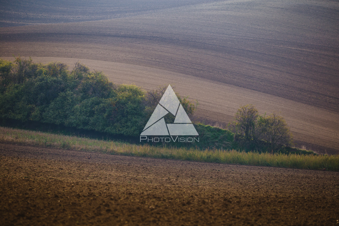 "Autumn evening in the field" stock image