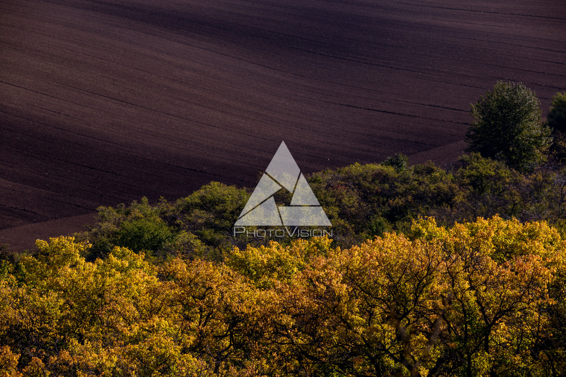 "Wavy autumn fields in Moravian Tuscany, Czech Republic" stock image