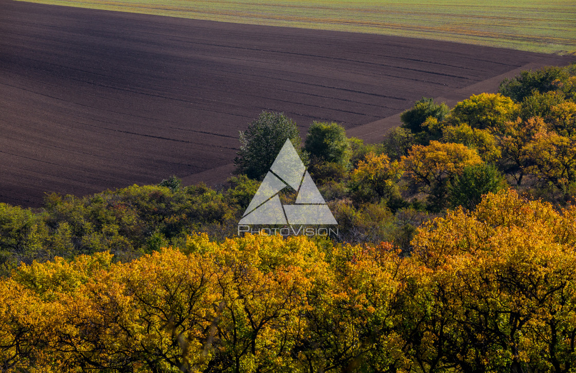 "Wavy autumn fields in Moravian Tuscany, Czech Republic" stock image