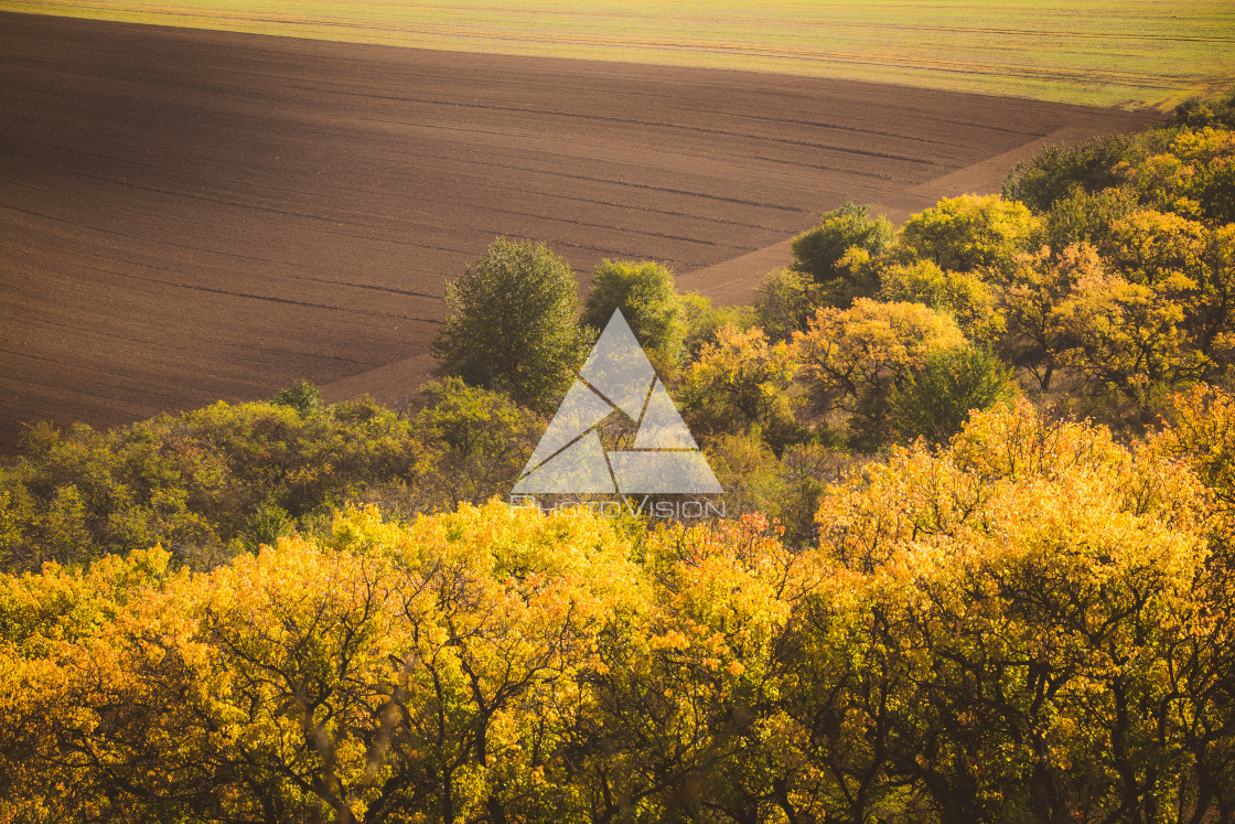 "Wavy autumn fields in Moravian Tuscany, Czech Republic" stock image