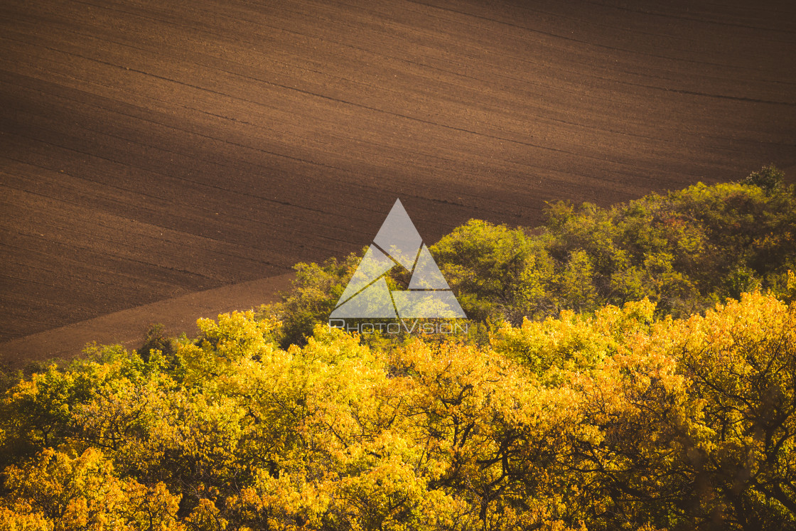 "Wavy autumn fields in Moravian Tuscany, Czech Republic" stock image