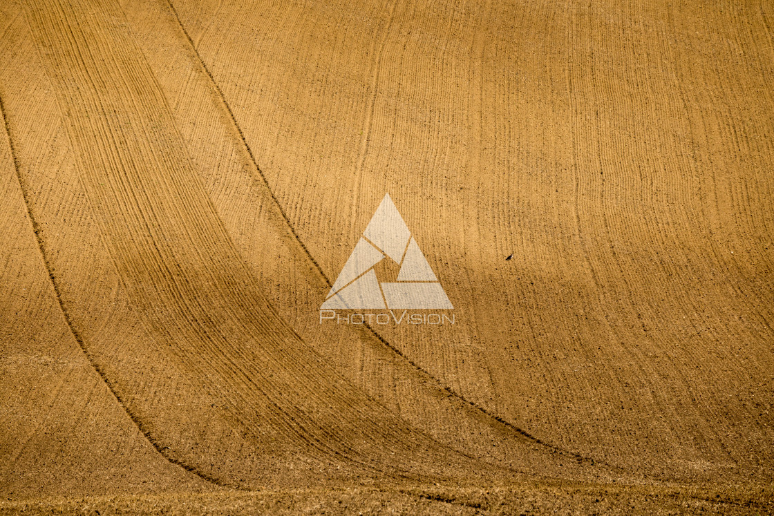 "Wavy autumn fields in Moravian Tuscany, Czech Republic" stock image